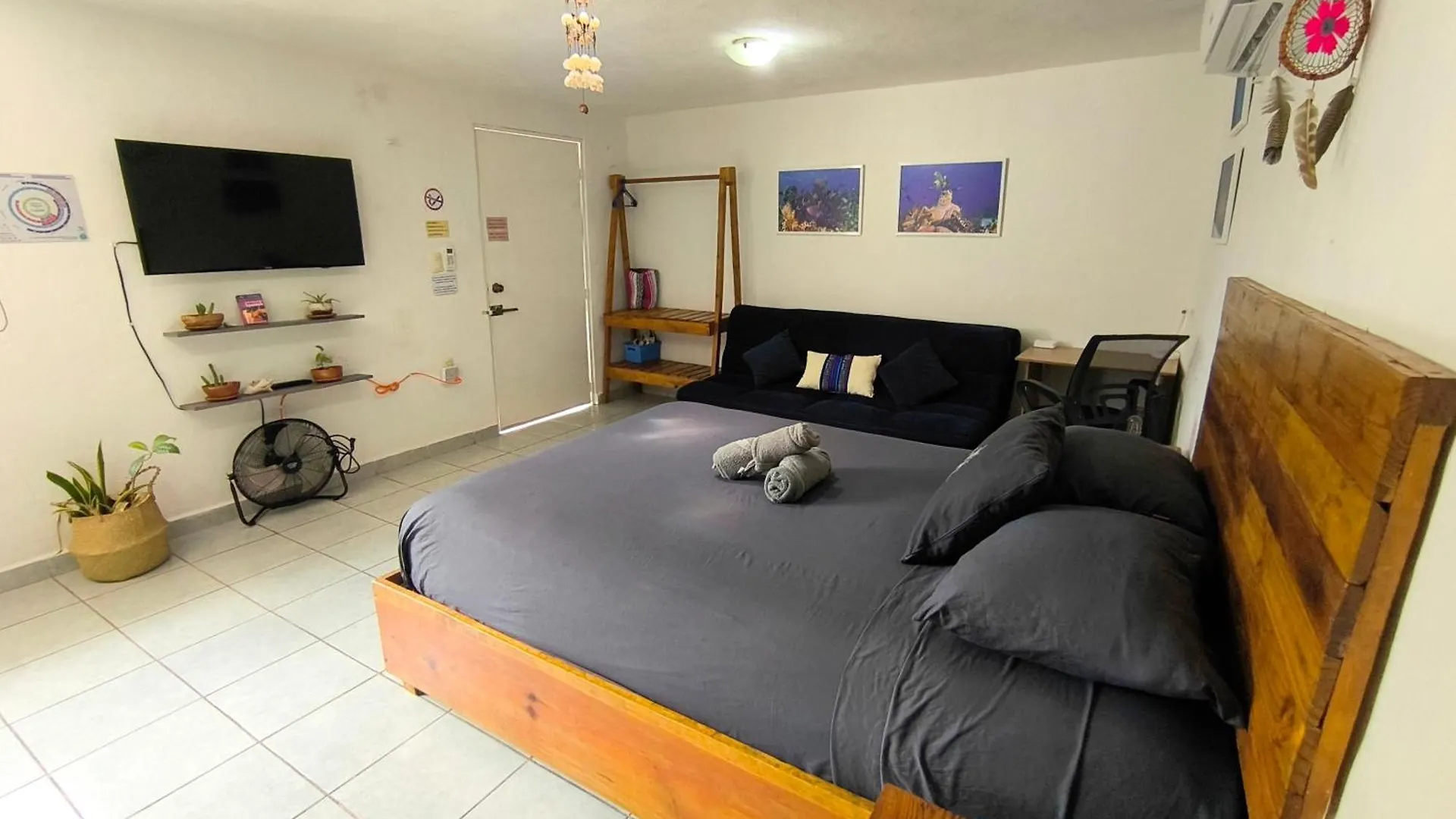 Equipped Yaxkin Studio On Downtown, 3 Blocks Away From Sea, Close To Restaurants Cozumel 0*,  Meksyk